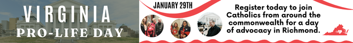 VA Pro Life Day Banner