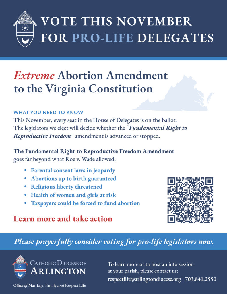 COMMS Abortion Amendment Flyer BILINGUAL Page 1