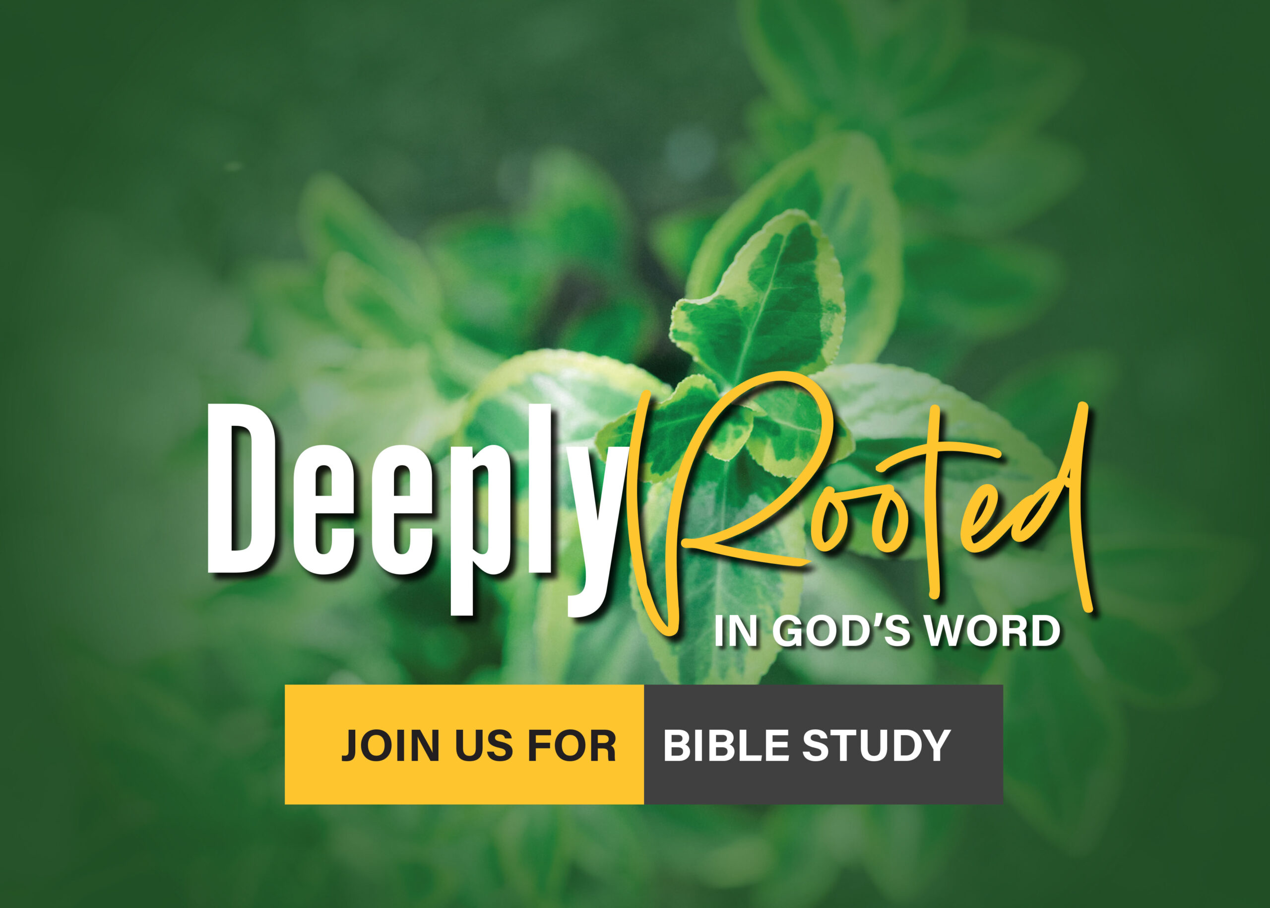 Deeply Rooted in God's Word. Join us for Bible Study.